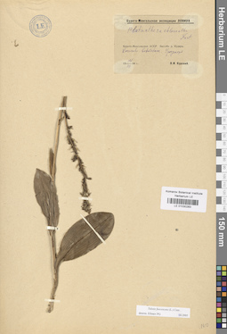 LE 01030283