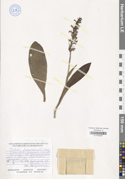 LE 01030287