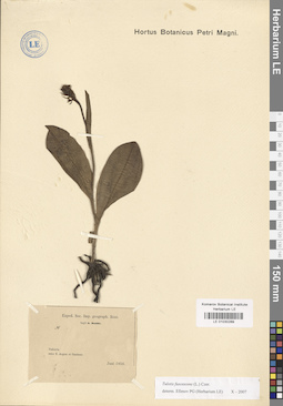 LE 01030289