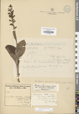 LE 01030292