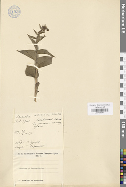 LE 01030301