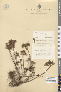 LE 01281501