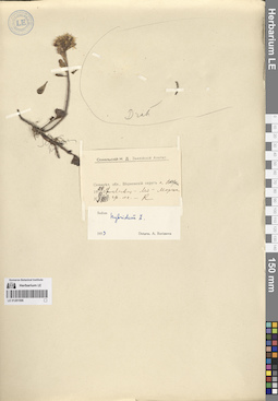 LE 01281596