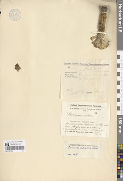 LE 01281802