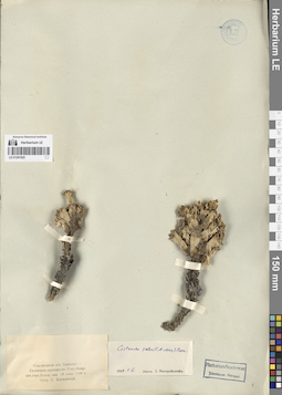 LE 01281825