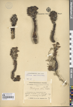 LE 01281840