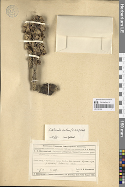 LE 01281858