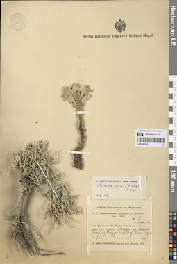 LE 01281902