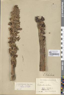 LE 01281964