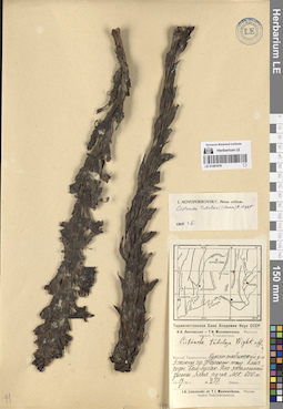 LE 01281976