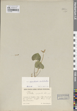 LE 01270998