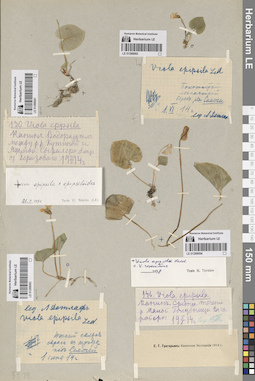 LE 01288092