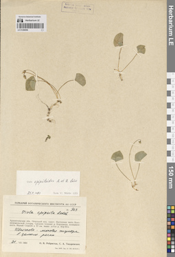 LE 01288096