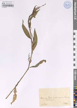 LE 01208740