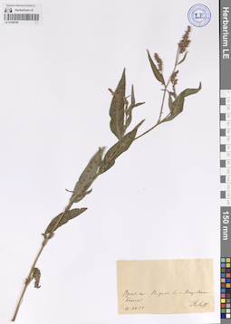 LE 01208760