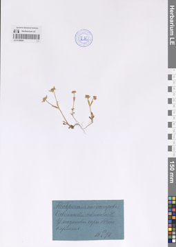 LE 01189261