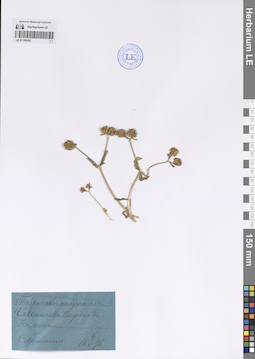LE 01189262