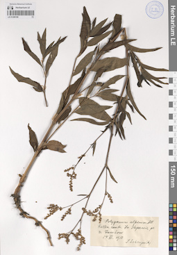 LE 01209190