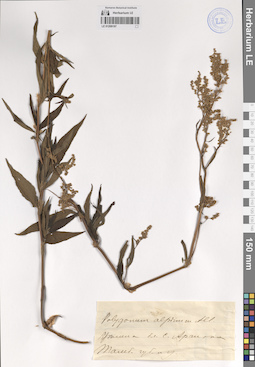 LE 01209197