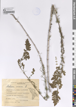 LE 01202691