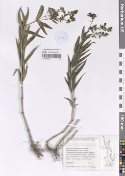 LE 01204742