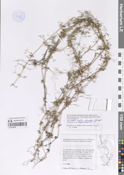 LE 01204746