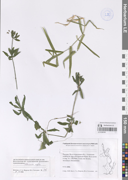 LE 01204749