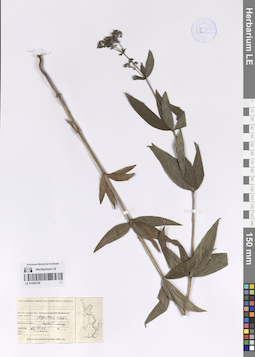 LE 01204750