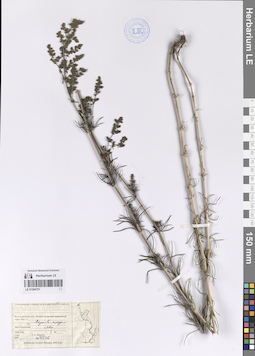 LE 01204751