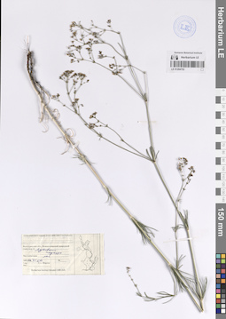 LE 01204753