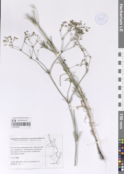 LE 01204754