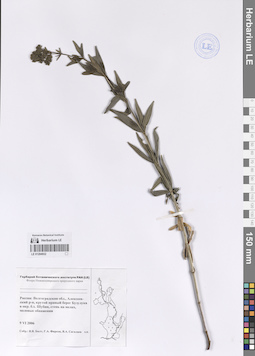 LE 01204932