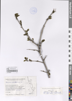 LE 01204933