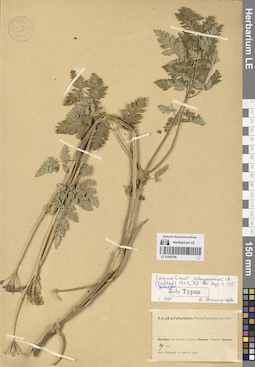 LE 01065796