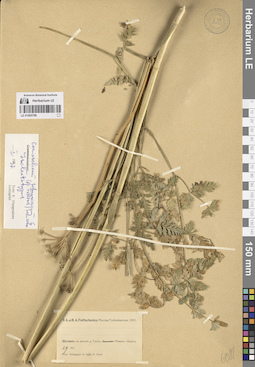 LE 01065798
