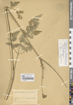 LE 01065801