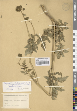 LE 01065802