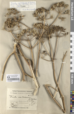 LE 01065824