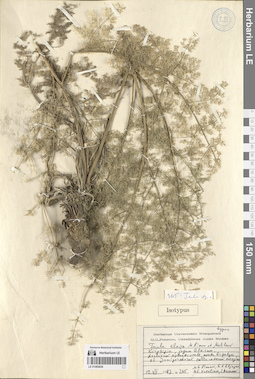 LE 01065836