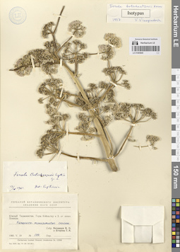 LE 01065845