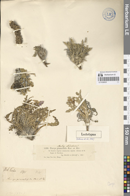 LE 01280035