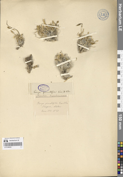 LE 01280036