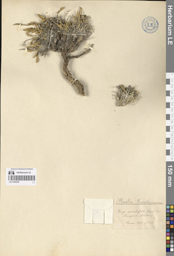 LE 01280039