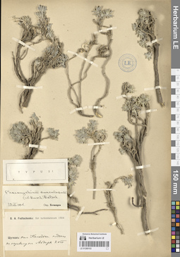 LE 01280103