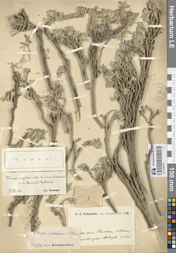 LE 01280104