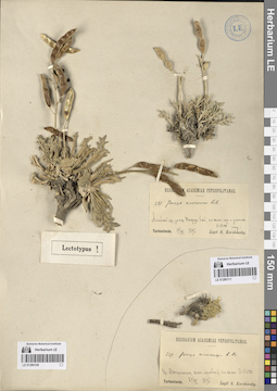 LE 01280109