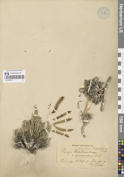 LE 01280115