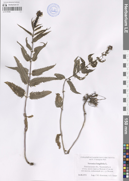 LE 01178148