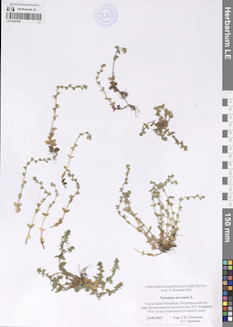 LE 01207839
