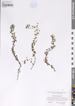 LE 01207840